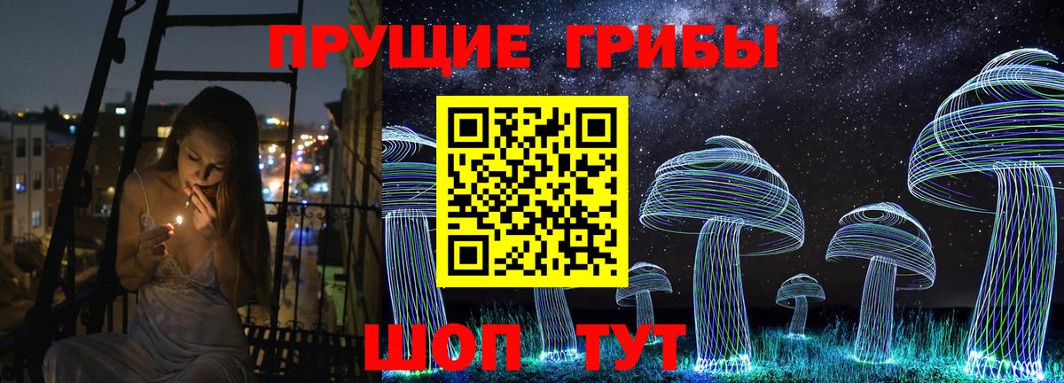 Галлюциногенные грибы Psilocybine cubensis  магазин продажи наркотиков  Кулебаки  Вход с VPN  Псилоцибиновые грибы Cubensis 