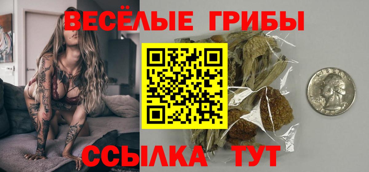 Псилоцибиновые грибы ЛСД Кулебаки